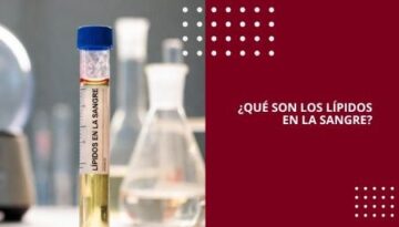 ¿QUÉ SON LOS LÍPIDOS EN LA SANGRE?