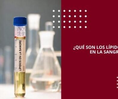 ¿QUÉ SON LOS LÍPIDOS EN LA SANGRE?
