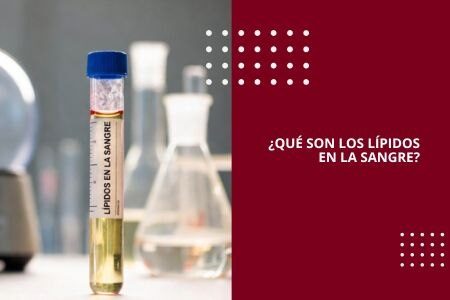 ¿QUÉ SON LOS LÍPIDOS EN LA SANGRE?