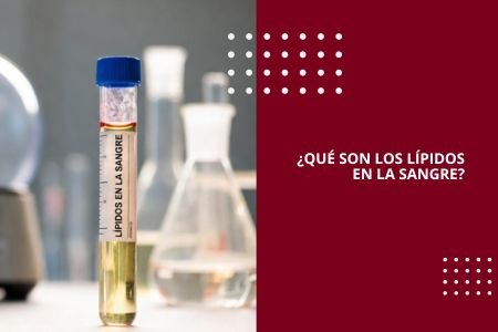 ¿QUÉ SON LOS LÍPIDOS EN LA SANGRE?